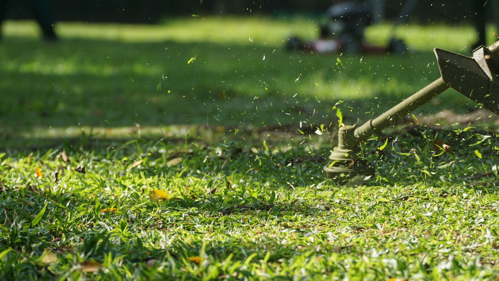 Maintain a beautiful and professional exterior with our landscaping and lawn care services, designed to enhance your business’s curb appeal.